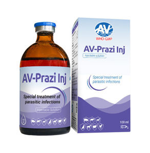 Picture of Av-Prazi Inj