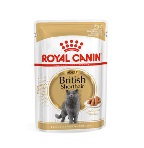 Picture of ROYAL CANIN Feline  Breed Nutrition British Shorthair wet 