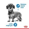 Picture of MINI LIGHT WEIGHT CARE 3KG