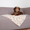Picture of Blanket Lingo -Trixie