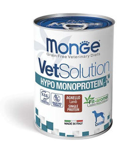 Picture of Monge VetSolution Canine Hypo Monoprotein Lamb 400 g