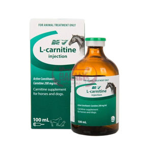 Picture of L carnitine Ceva