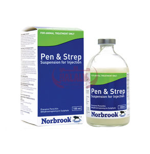 Picture of Pen & Strep
