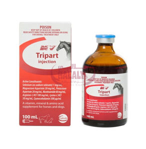 Picture of Tripart Ceva