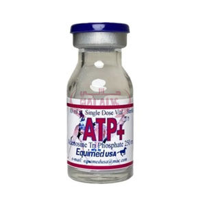 Picture of ATP plus