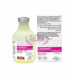 Picture of Lysopast