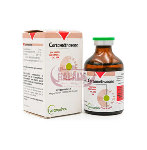 Picture of Cortamethasone