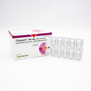 Picture of Cefaseptin 300Mg ( 1 Strip) - Vetoquinol