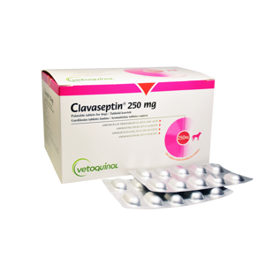 Picture of Clavaseptin 250Mg (1 Strip ) - Vetoquinol