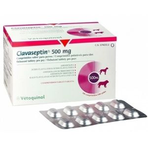 Picture of Clavaseptin 500Mg (1 Strip) - Vetoquinol