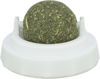 Picture of Catnip Ball With Holder, ? 5 cm - Trixie