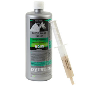 Picture of Mega Base Junior