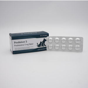 Picture of Prednivet 5Mg 100Tab (Prednisolone 5Mg Tab - 1 Strip)