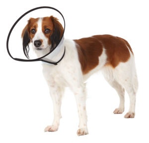 Picture of Protective Collar, Plastic, Hook And Loop Fastener, L - Xl: 50 - 58 cm/28 cm - Trixie