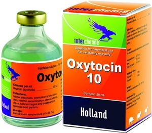 Picture of Oxytocin 10