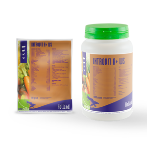 Picture of Introvit A+