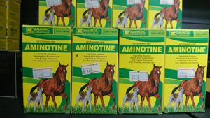 Picture of Aminotine Inj