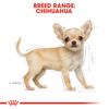 Picture of ROYAL CANIN Breed Health Nutrition Chihuahua Adult