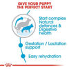 Picture of ROYAL CANIN Size Health Nutrition Maxi Starter Mother & Baby dog