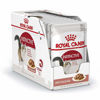 Picture of ROYAL CANIN Instinctive Gravy