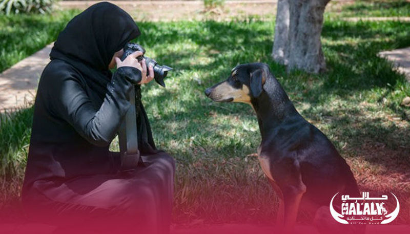 Ladies Top 5 Favorite Dogs Breeds.