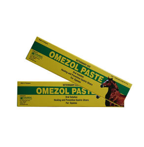 Picture of Omezol Paste 