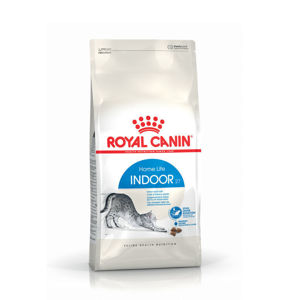 Picture of royal canin indoor 27 shorthair | Dry Food 2 KG-4 KG-10 KG