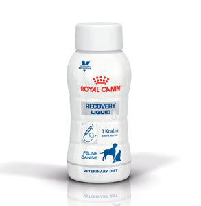 Picture of ROYAL CANIN Recovery Liquid (Dog & Cat)
