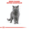 Picture of Royal Canin Feline Breed Nutrition British Shorthair Adult 4 KG