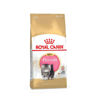 Picture of royal canin persian kitten food 2kg