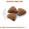 Picture of royal canin indoor Adult Dry Food | 2 KG-4 KG-10 KG