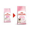 Picture of Royal Canin Mother & Babycat