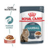 Picture of Royal Canin Feline Care Nutrition Hairball Gravy