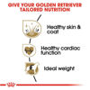 Picture of Royal Canin Breed Health Nutrition Golden Retriever Adult