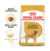 Picture of Royal Canin Breed Health Nutrition Golden Retriever Adult