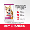 Picture of Hill's Science Plan Small & Mini Adult Dog Food - Chicken