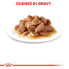 Picture of Royal Canin Digestive Sensitive in Gravy Pouch