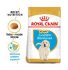 Picture of Royal Canin Breed Health Nutrition Golden Retriever Puppy