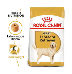 Picture of Royal Canin Labrador Retriever Adult