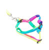 Picture of Rainbow Chest Strap Suit-L