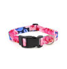 Picture of Colorful Leash Kit Large (Colors)