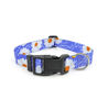 Picture of Colorful Leash Kit Large (Colors)