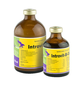 Picture of introvit b-complex