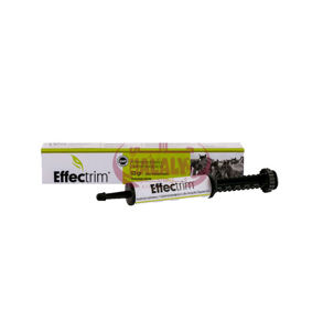 Picture of Effectrim gel oral 33gr