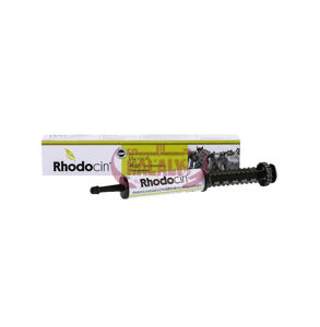 Picture of Rhodocin gel oral 36gr