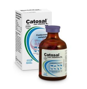 Picture of CATOSAL 100ML