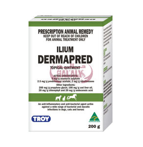 Picture of DERMAPRED (ILIUM) 200G TOPICAL OINT