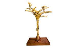 Picture of Java Wood Bird Tree - Large