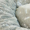 Picture of Feather Bed - Trixie
