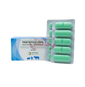 Picture of Pantazole 2500